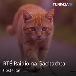 RTÉ Raidió na Gaeltachta