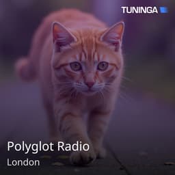 Polyglot Radio