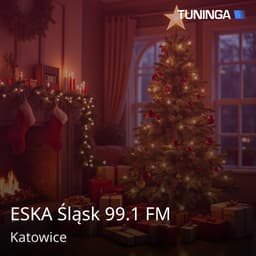 ESKA Śląsk 99.1 FM