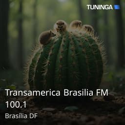 Transamerica Brasilia FM 100.1