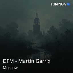 DFM - Martin Garrix