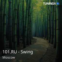 101.RU - Swing