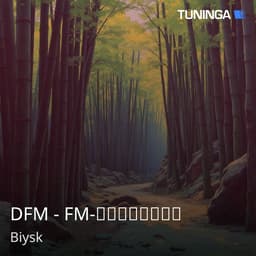 DFM - FM-Продакшн