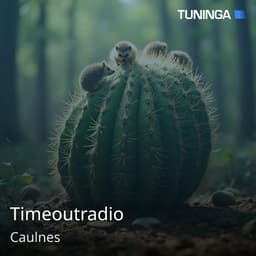 Timeoutradio