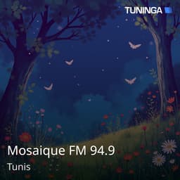 Mosaique FM 94.9