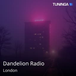 Dandelion Radio