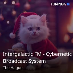 Intergalactic FM - Cybernetic Broadcast System