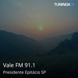 Vale FM 91.1