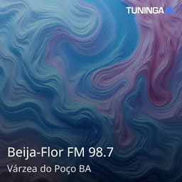 Beija-Flor FM 98.7