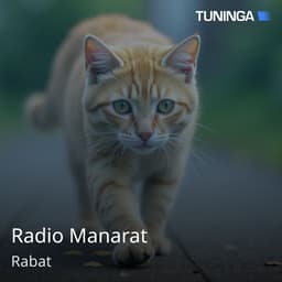 Radio Manarat
