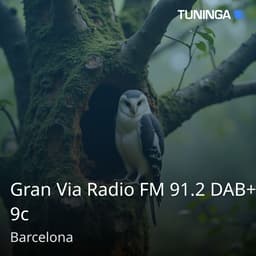 Gran Via Radio FM 91.2 DAB+ 9c