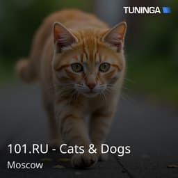 101.RU - Cats & Dogs