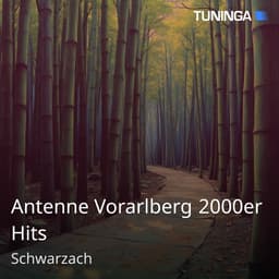 Antenne Vorarlberg 2000er Hits
