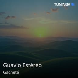 Guavio Estéreo