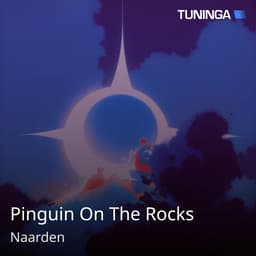 Pinguin On The Rocks