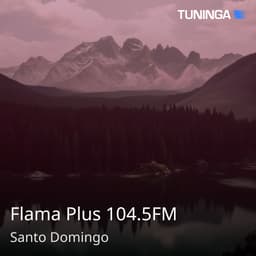 Flama Plus 104.5FM