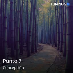 Punto 7