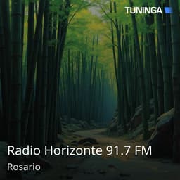 Radio Horizonte 91.7 FM