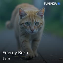 Energy Bern