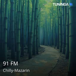 91 FM