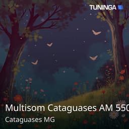 Multisom Cataguases AM 550