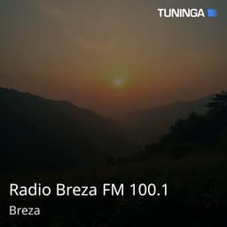 Radio Breza FM 100.1