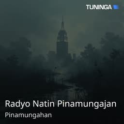 Radyo Natin Pinamungajan