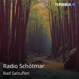 Radio Schötmar