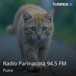 Radio Parinacota 94.5 FM