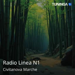 Radio Linea N1