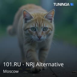 101.RU - NRJ Alternative