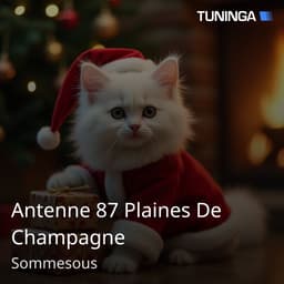 Antenne 87 Plaines De Champagne