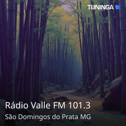 Rádio Valle FM 101.3