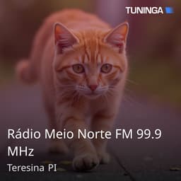 Rádio Meio Norte FM 99.9 MHz