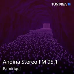 Andina Stereo FM 95.1
