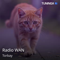 Radio WAN