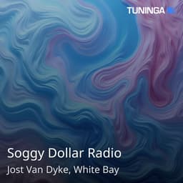 Soggy Dollar Radio