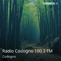 Radio Codogno 100.3 FM