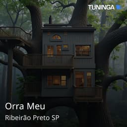 Orra Meu