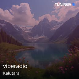 viberadio