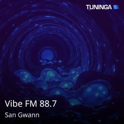 Vibe FM 88.7