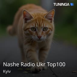 Nashe Radio Ukr Top100