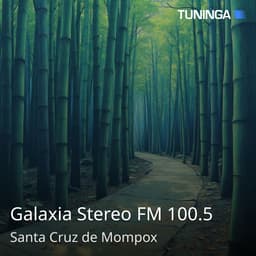 Galaxia Stereo FM 100.5