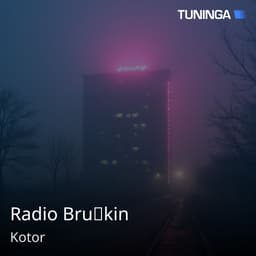 Radio Bruškin