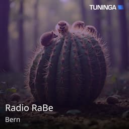 Radio RaBe