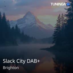 Slack City DAB+