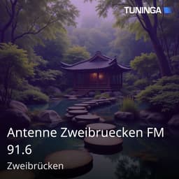 Antenne Zweibruecken FM 91.6