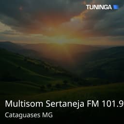 Multisom Sertaneja FM 101.9