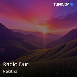 Radio Dur