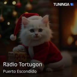 Radio Tortugon